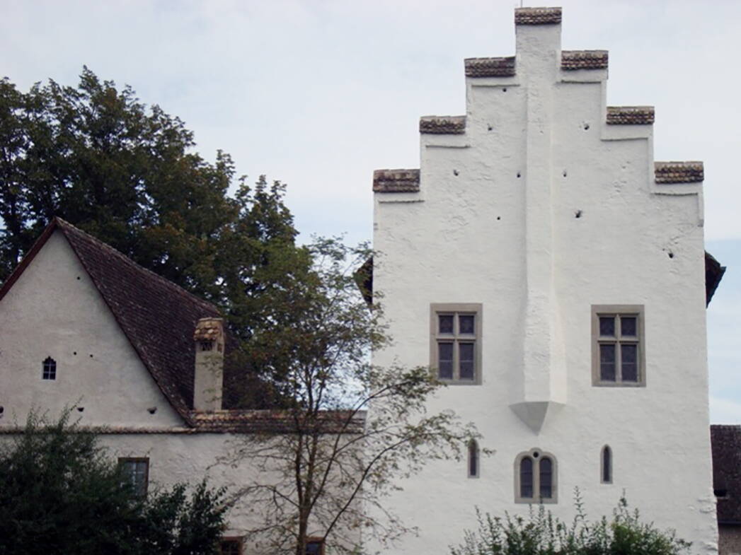Die Fassade des Ritterhauses in Bubikon wurde mit einem Putz mit Sumpfkalkschlämmen saniert. 